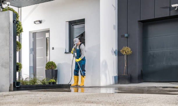 Best Roof Washing  in Wood Ridge, NJ